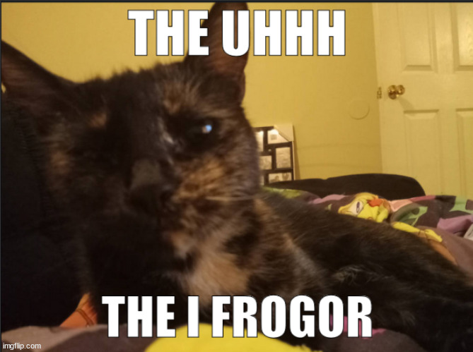 this is reddma's cat runner | made w/ Imgflip meme maker