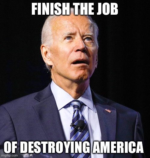 Lame duck | FINISH THE JOB; OF DESTROYING AMERICA | image tagged in joe biden,libtards | made w/ Imgflip meme maker