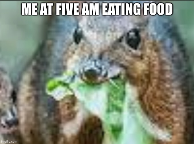 Deer mouse | ME AT FIVE AM EATING FOOD | image tagged in lettuce | made w/ Imgflip meme maker