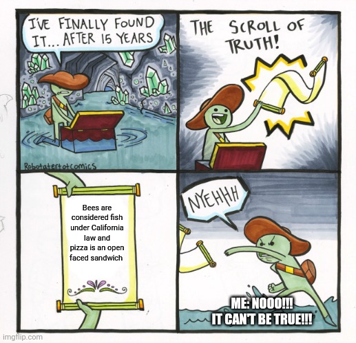 Bees are fish | Bees are considered fish under California law and pizza is an open faced sandwich; ME: NOOO!!! IT CAN'T BE TRUE!!! | image tagged in memes,the scroll of truth | made w/ Imgflip meme maker