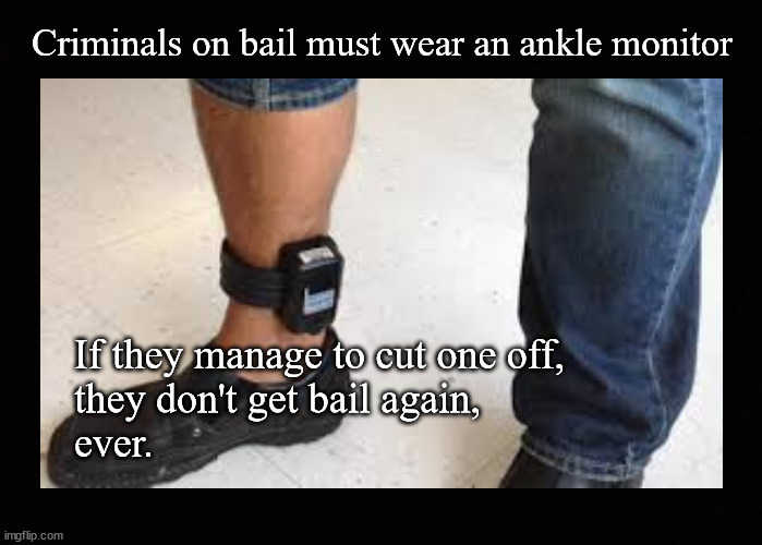 No bail for you | Criminals on bail must wear an ankle monitor; If they manage to cut one off, 
they don't get bail again, 
ever. | image tagged in criminals,bail,ankle monitor | made w/ Imgflip meme maker