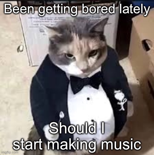 tux cat | Been getting bored lately; Should I start making music | image tagged in tux cat | made w/ Imgflip meme maker
