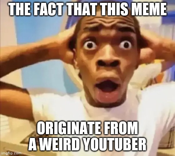 Black Guy Shocked | THE FACT THAT THIS MEME; ORIGINATE FROM A WEIRD YOUTUBER | image tagged in black guy shocked | made w/ Imgflip meme maker