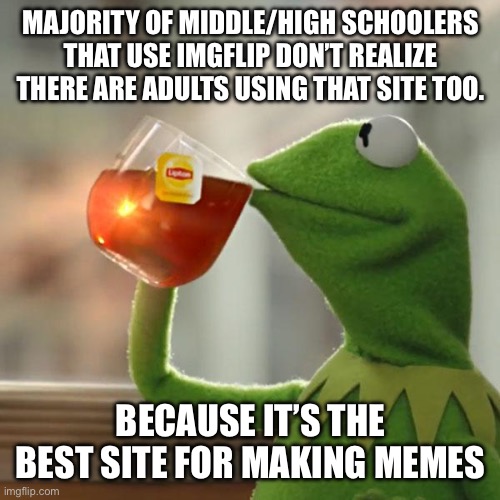 Imgflip is the best site for making memes | MAJORITY OF MIDDLE/HIGH SCHOOLERS THAT USE IMGFLIP DON’T REALIZE THERE ARE ADULTS USING THAT SITE TOO. BECAUSE IT’S THE BEST SITE FOR MAKING MEMES | image tagged in memes,but that's none of my business,kermit the frog | made w/ Imgflip meme maker