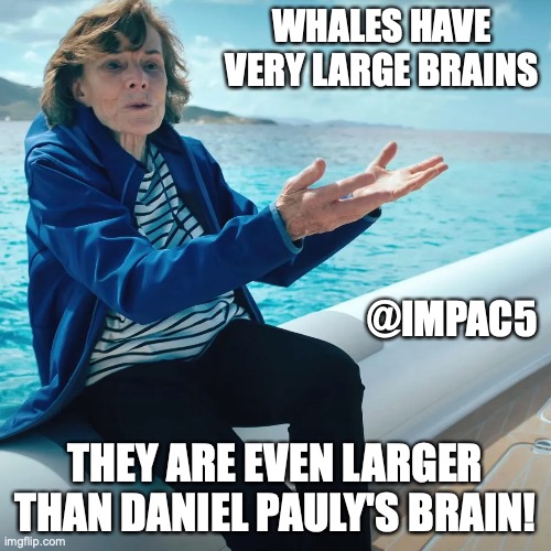 Sylvia at IMPAC5 | WHALES HAVE VERY LARGE BRAINS; @IMPAC5; THEY ARE EVEN LARGER THAN DANIEL PAULY'S BRAIN! | made w/ Imgflip meme maker