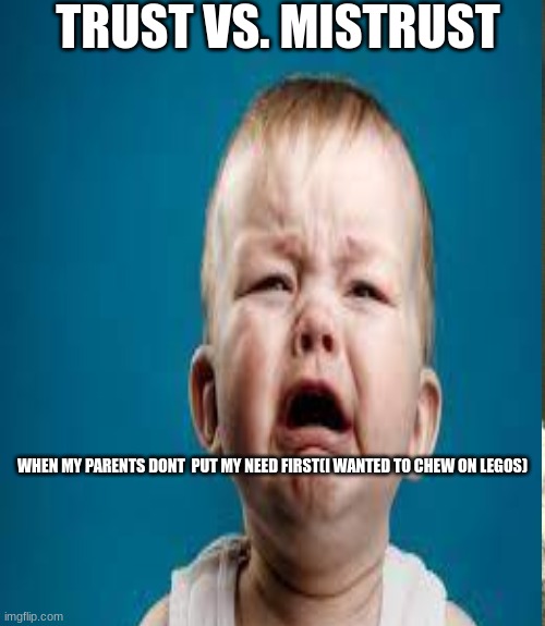 Trust vs. Mistrust | TRUST VS. MISTRUST; WHEN MY PARENTS DONT  PUT MY NEED FIRST(I WANTED TO CHEW ON LEGOS) | image tagged in pie charts | made w/ Imgflip meme maker