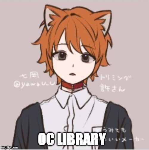 OC library (owner note: someone comment pls) | OC LIBRARY | made w/ Imgflip meme maker