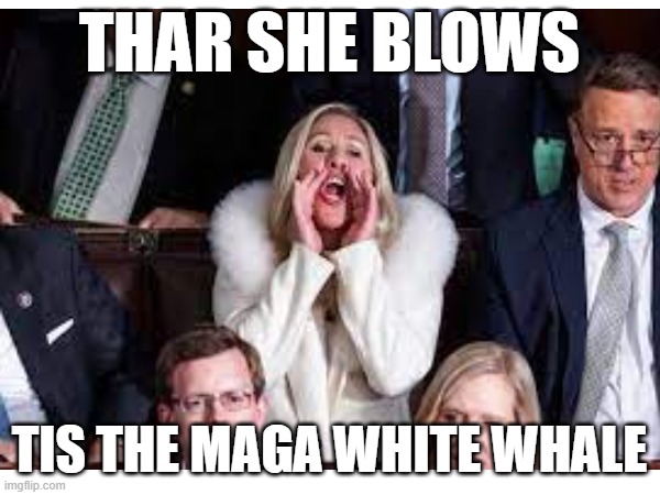 Harpoons away | THAR SHE BLOWS; TIS THE MAGA WHITE WHALE | image tagged in mtg,maga,whale,big mouth,politics | made w/ Imgflip meme maker