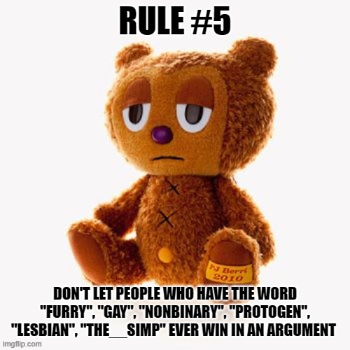 Pj plush | RULE #5; DON'T LET PEOPLE WHO HAVE THE WORD "FURRY", "GAY", "NONBINARY", "PROTOGEN", "LESBIAN", "THE__SIMP" EVER WIN IN AN ARGUMENT | image tagged in pj plush | made w/ Imgflip meme maker