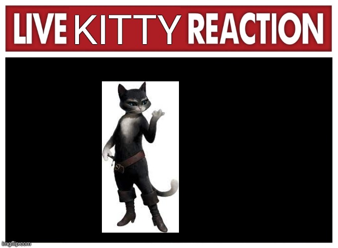 Live reaction | KITTY | image tagged in live reaction | made w/ Imgflip meme maker