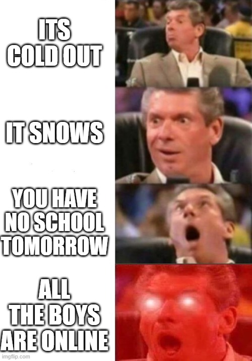 Mr. McMahon reaction | ITS COLD OUT; IT SNOWS; YOU HAVE NO SCHOOL TOMORROW; ALL THE BOYS ARE ONLINE | image tagged in mr mcmahon reaction | made w/ Imgflip meme maker