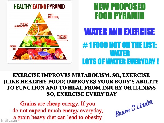 Food pyramid | NEW PROPOSED
FOOD PYRAMID; WATER AND EXERCISE; # 1 FOOD NOT ON THE LIST: 
WATER 
LOTS OF WATER EVERYDAY ! EXERCISE IMPROVES METABOLISM. SO, EXERCISE 
(LIKE HEALTHY FOOD) IMPROVES YOUR BODY'S ABILITY 
TO FUNCTION AND TO HEAL FROM INJURY OR ILLNESS 
SO, EXERCISE EVERY DAY; Bruce C Linder; Grains are cheap energy. If you do not expend much energy everyday, a grain heavy diet can lead to obesity | image tagged in food pyramid,carbohydrates,protein,water,exercise | made w/ Imgflip meme maker