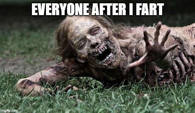 Everyone after i Fart | EVERYONE AFTER I FART | image tagged in walking dead zombie | made w/ Imgflip meme maker