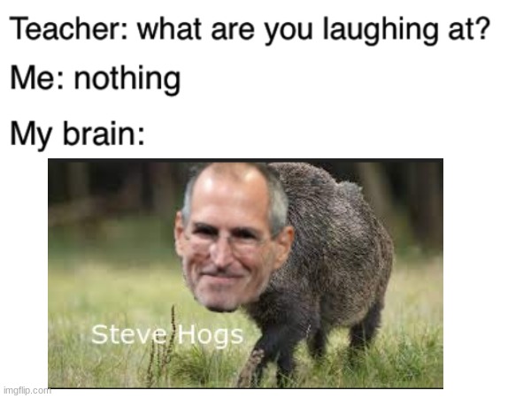 Shout out too my fellow memer Judahmiller for making the image | image tagged in steve jobs,pig | made w/ Imgflip meme maker