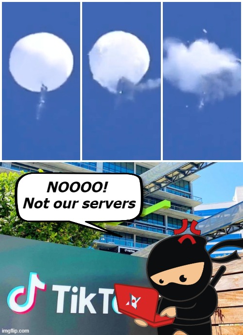 *giggles* | NOOOO! 
Not our servers | image tagged in politics lol,china,tiktok | made w/ Imgflip meme maker