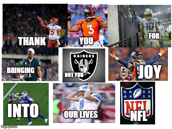 FOR; THANK; YOU; JOY; BRINGING; NOT YOU; INTO; OUR LIVES; NFL | made w/ Imgflip meme maker