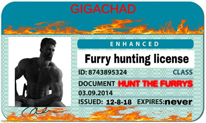 furry hunting license | GIGACHAD; HUNT THE FURRYS | image tagged in furry hunting license | made w/ Imgflip meme maker