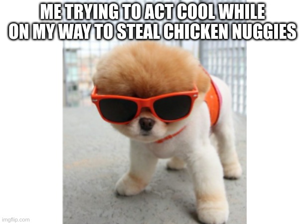making my way downtown | ME TRYING TO ACT COOL WHILE ON MY WAY TO STEAL CHICKEN NUGGIES | image tagged in funny,dogs,animals | made w/ Imgflip meme maker