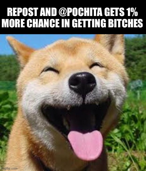 :D. | REPOST AND @POCHITA GETS 1% MORE CHANCE IN GETTING BITCHES | image tagged in happy doge | made w/ Imgflip meme maker