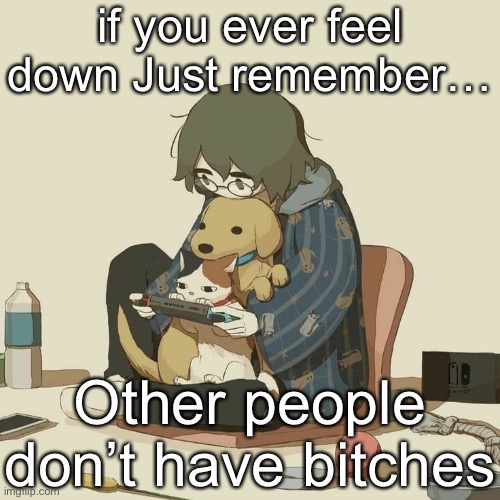 You’re not alone, call 876-891-0918 (Fake number) | if you ever feel down Just remember…; Other people don’t have bitches | image tagged in avogado6,fake phone number | made w/ Imgflip meme maker