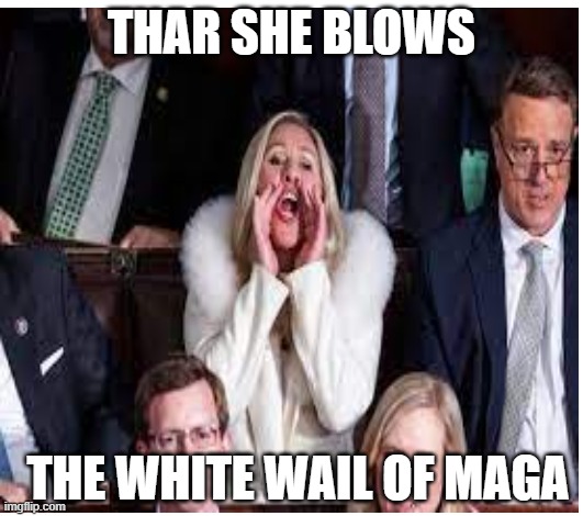 Harpoons away | THAR SHE BLOWS; THE WHITE WAIL OF MAGA | image tagged in maga,whale,big mouth,joe biden,politics | made w/ Imgflip meme maker
