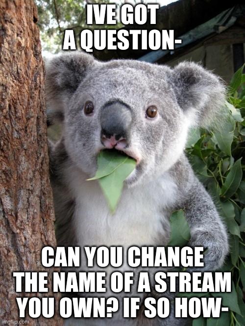 idk why i chose a koala for the bachground- | IVE GOT A QUESTION-; CAN YOU CHANGE THE NAME OF A STREAM YOU OWN? IF SO HOW- | image tagged in memes,surprised koala | made w/ Imgflip meme maker
