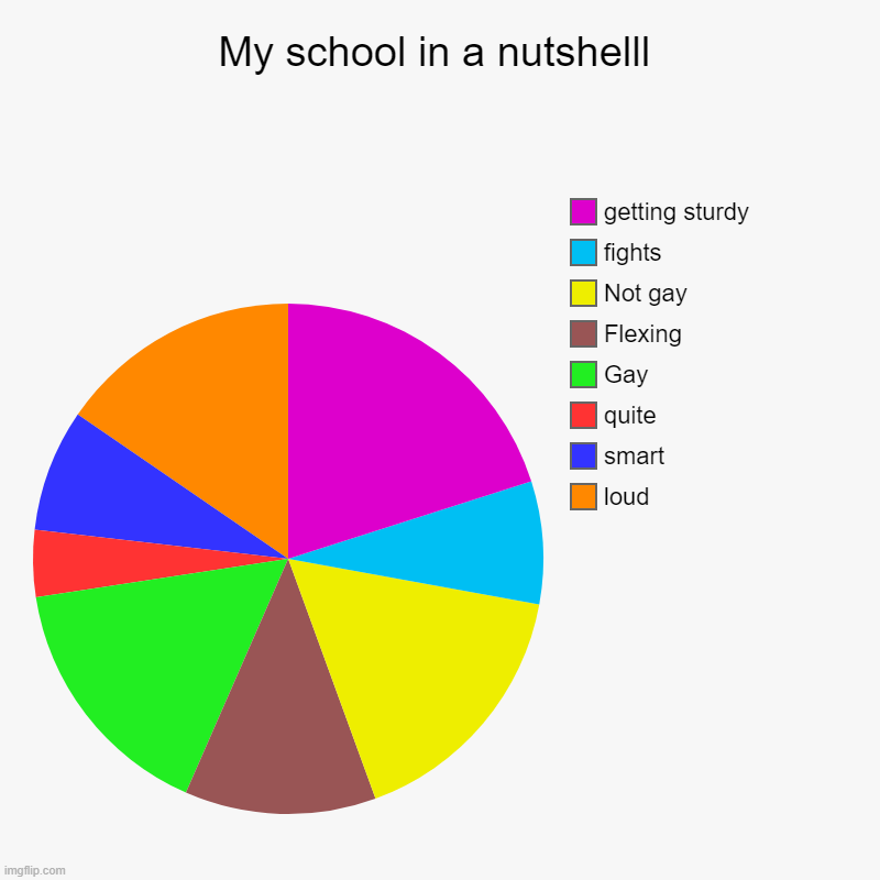 bruh | My school in a nutshelll | loud, smart, quite, Gay, Flexing, Not gay, fights, getting sturdy | image tagged in charts,pie charts | made w/ Imgflip chart maker