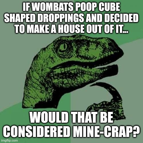 Mine-crap | IF WOMBATS POOP CUBE SHAPED DROPPINGS AND DECIDED TO MAKE A HOUSE OUT OF IT... WOULD THAT BE CONSIDERED MINE-CRAP? | image tagged in memes,philosoraptor | made w/ Imgflip meme maker
