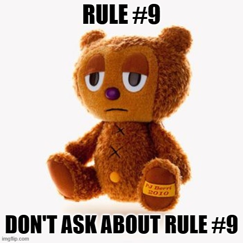 Pj plush | RULE #9; DON'T ASK ABOUT RULE #9 | image tagged in pj plush | made w/ Imgflip meme maker