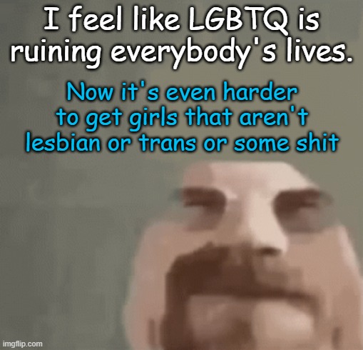 Makes it harder to get bitches | I feel like LGBTQ is ruining everybody's lives. Now it's even harder to get girls that aren't lesbian or trans or some shit | image tagged in heisenburger | made w/ Imgflip meme maker