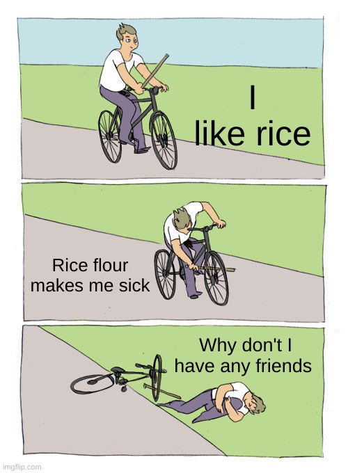 There this one kid in my class thats like this | I like rice; Rice flour makes me sick; Why don't I have any friends | image tagged in memes,bike fall | made w/ Imgflip meme maker