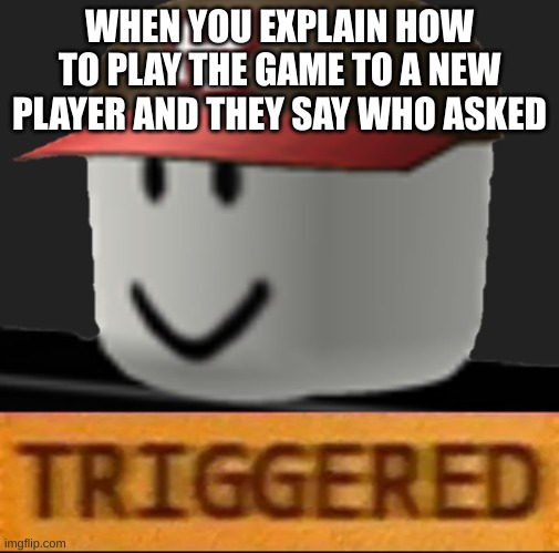 So Annoying | WHEN YOU EXPLAIN HOW TO PLAY THE GAME TO A NEW PLAYER AND THEY SAY WHO ASKED | image tagged in roblox triggered | made w/ Imgflip meme maker