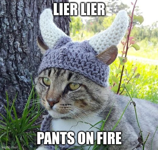 Viking cat crochete hat | LIER LIER PANTS ON FIRE | image tagged in viking cat crochete hat | made w/ Imgflip meme maker