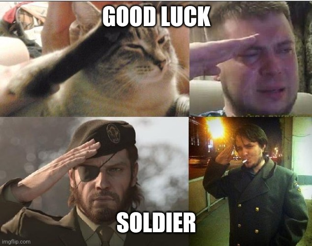 Ozon's Salute | GOOD LUCK SOLDIER | image tagged in ozon's salute | made w/ Imgflip meme maker