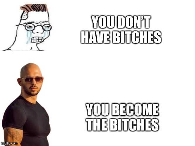 Indeed | YOU DON’T HAVE BITCHES; YOU BECOME THE BITCHES | image tagged in normie vs andrew tate top g,memes,funny memes,no bitches | made w/ Imgflip meme maker