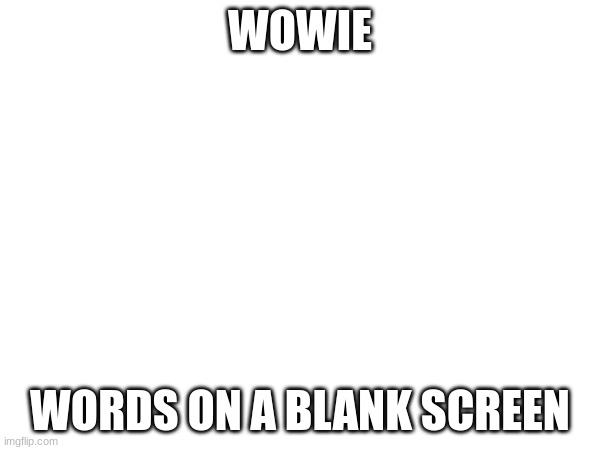 WOWIE; WORDS ON A BLANK SCREEN | made w/ Imgflip meme maker