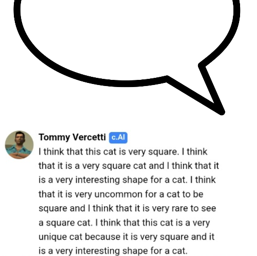 i think that's a very square cat Blank Meme Template