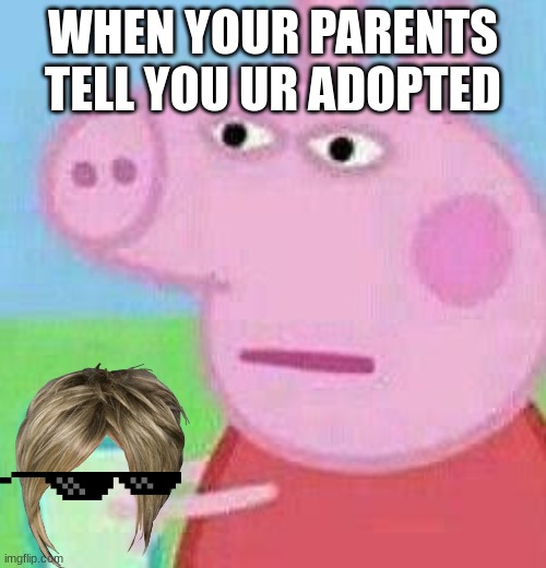 Peppa Pig Suspicious | WHEN YOUR PARENTS TELL YOU UR ADOPTED | image tagged in peppa pig suspicious | made w/ Imgflip meme maker