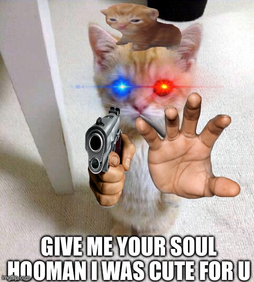 Cute Cat | GIVE ME YOUR SOUL HOOMAN I WAS CUTE FOR U | image tagged in memes,cute cat | made w/ Imgflip meme maker