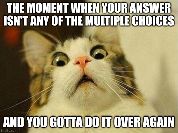 Scared Cat | THE MOMENT WHEN YOUR ANSWER ISN'T ANY OF THE MULTIPLE CHOICES; AND YOU GOTTA DO IT OVER AGAIN | image tagged in memes,scared cat | made w/ Imgflip meme maker