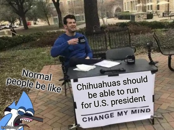 How normal people react to someone who wants a dog to be president | Normal people be like; Chihuahuas should be able to run for U.S. president | image tagged in memes,change my mind | made w/ Imgflip meme maker