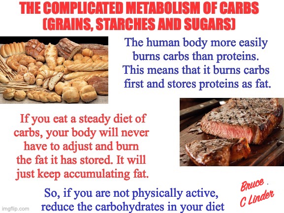 Carbohydrates vs Proteins | Bruce C Linder; So, if you are not physically active, 
reduce the carbohydrates in your diet | image tagged in carbohydrates,protein,metabolism,diet,weight loss | made w/ Imgflip meme maker
