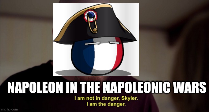 napoleon | NAPOLEON IN THE NAPOLEONIC WARS | image tagged in i am not in danger skyler i am the danger | made w/ Imgflip meme maker