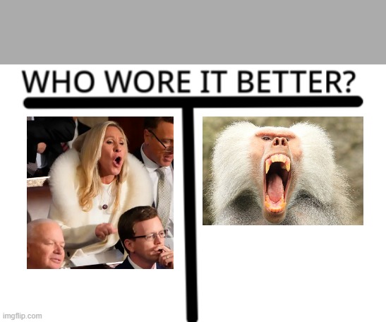 Who wore it better? | image tagged in who wore it better | made w/ Imgflip meme maker