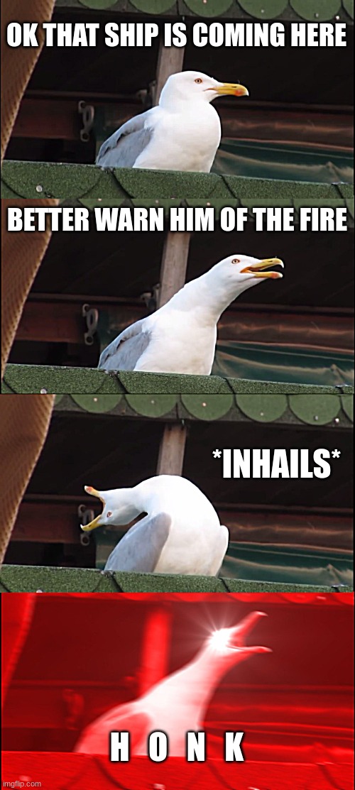 honk | OK THAT SHIP IS COMING HERE; BETTER WARN HIM OF THE FIRE; *INHAILS*; H   O   N   K | image tagged in memes,inhaling seagull | made w/ Imgflip meme maker