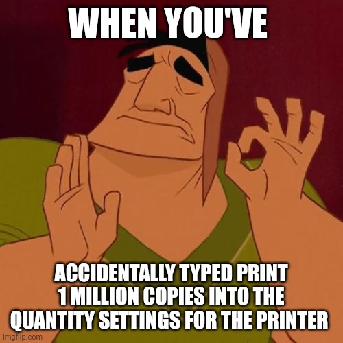 When you realize you've just printed a million copies | WHEN YOU'VE; ACCIDENTALLY TYPED PRINT 1 MILLION COPIES INTO THE QUANTITY SETTINGS FOR THE PRINTER | image tagged in when x just right | made w/ Imgflip meme maker