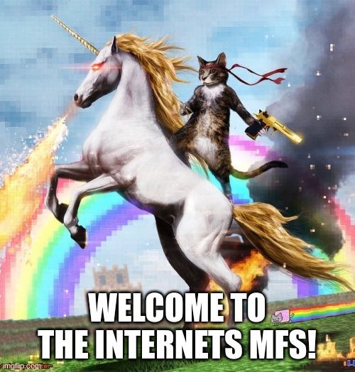 Welcome To The Internets Meme | WELCOME TO THE INTERNETS MFS! | image tagged in memes,welcome to the internets | made w/ Imgflip meme maker