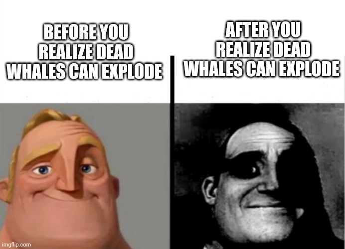 When you realize dead whales can explode | AFTER YOU REALIZE DEAD WHALES CAN EXPLODE; BEFORE YOU REALIZE DEAD WHALES CAN EXPLODE | image tagged in teacher's copy | made w/ Imgflip meme maker