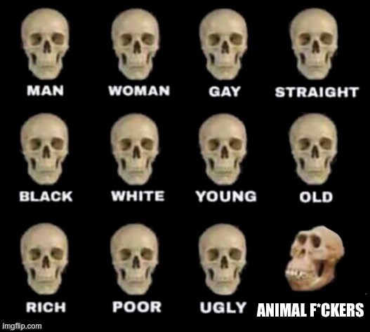 I don’t mean furry’s btw I’m a furry | ANIMAL F*CKERS | image tagged in idiot skull,yes | made w/ Imgflip meme maker