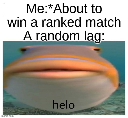 helo fish | Me:*About to win a ranked match
A random lag: | image tagged in helo fish,online gaming | made w/ Imgflip meme maker